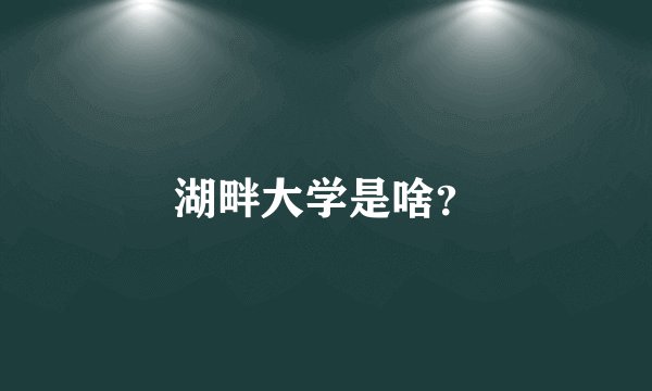 湖畔大学是啥？