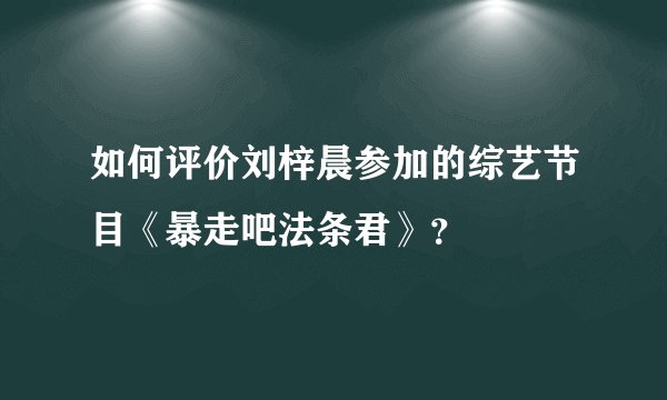 如何评价刘梓晨参加的综艺节目《暴走吧法条君》？
