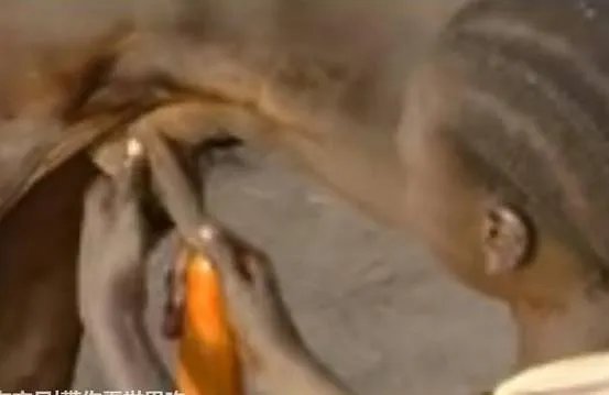 男子对牛屁股吹气 下秒奇迹发生了(图)