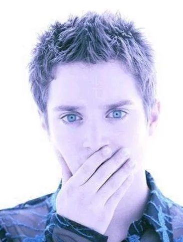 伊利亚·伍德的人物经历