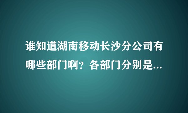谁知道湖南移动长沙分公司有哪些部门啊？各部门分别是负责哪方面的事情？详细点
