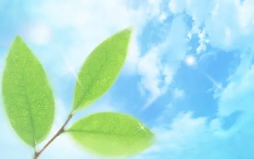 尽我所能,力我所及的意思是什么？