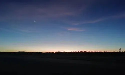 交通安全知识内容怎么写【最新大全】