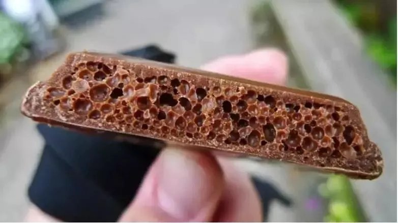 这组图可以测试 你是不是真的有密集恐惧症