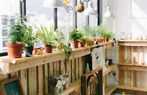 空气净化器对甲醛有效果吗