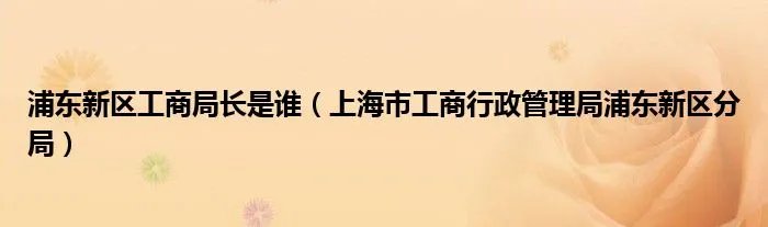 浦东新区工商局长是谁（上海市工商行政管理局浦东新区分局）