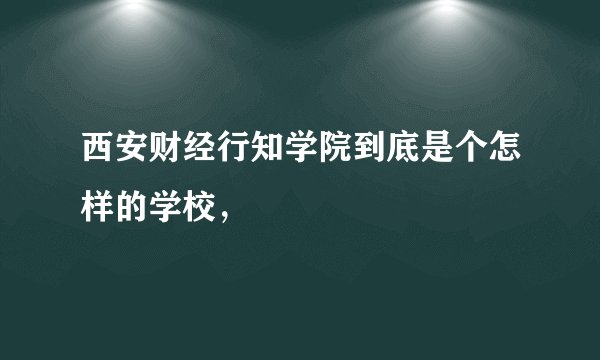 西安财经行知学院到底是个怎样的学校，