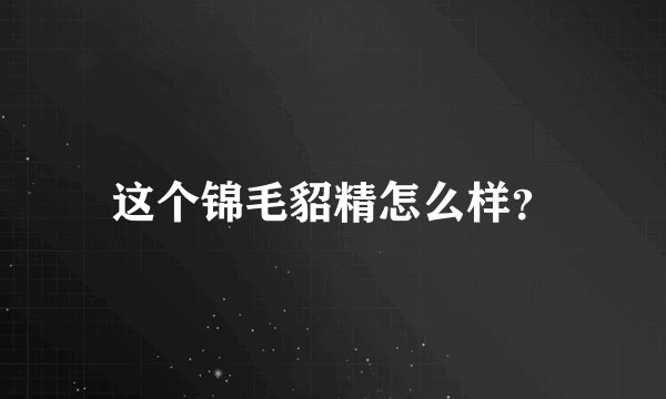 这个锦毛貂精怎么样？