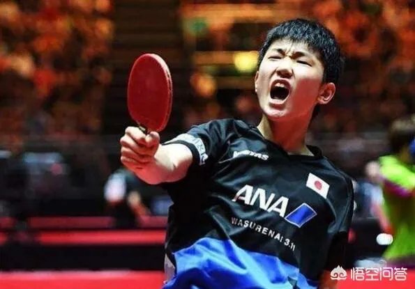 怎么评价樊振东取胜林高远拿下首个亚洲杯冠军？