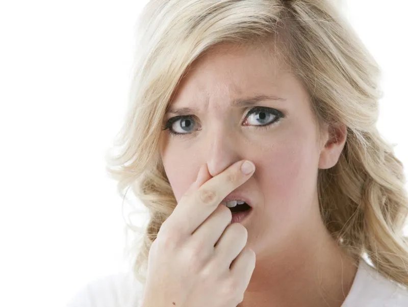 放屁臭的原因是什么