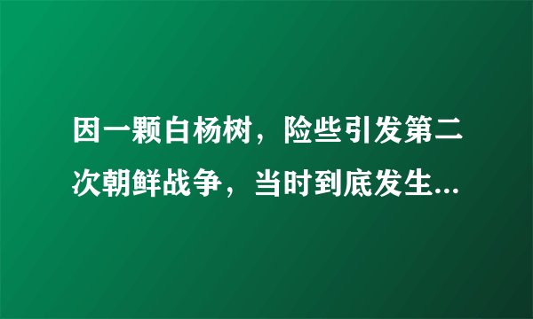 因一颗白杨树，险些引发第二次朝鲜战争，当时到底发生了什么事？