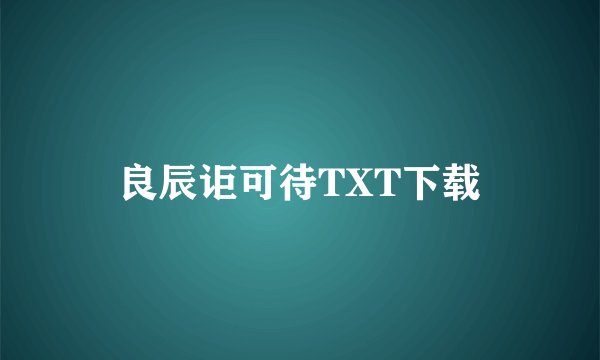 良辰讵可待TXT下载