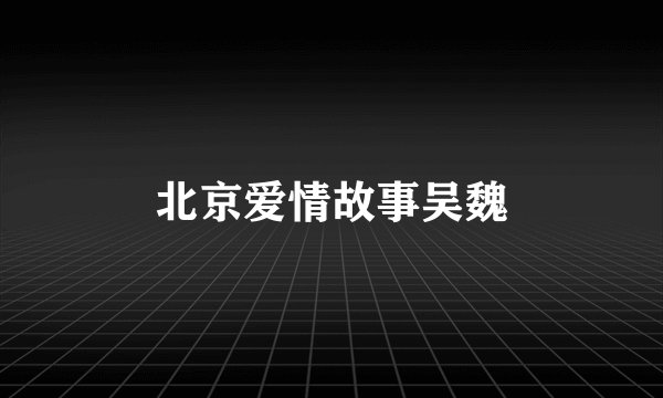 北京爱情故事吴魏