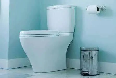 马桶怎么用才健康卫生  正确的使用马桶方法