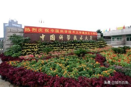 安徽能崛起吗？