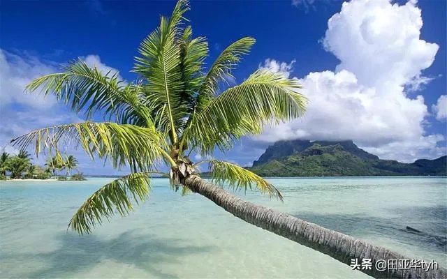 三亚湾和亚龙湾，哪个更好一些？