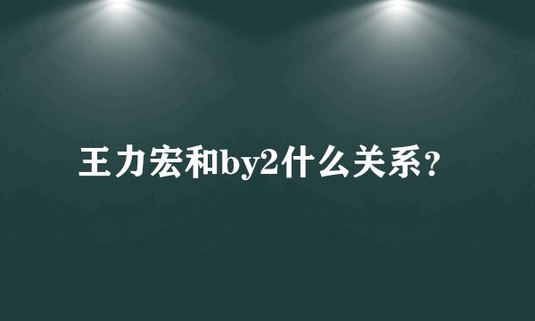 王力宏和by2什么关系？